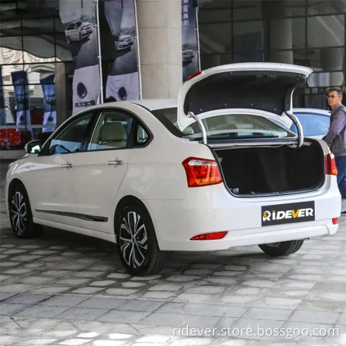 Ridever Es500 Cheap EV Cars Electric Car New Energy Vehicle in Germany for Export